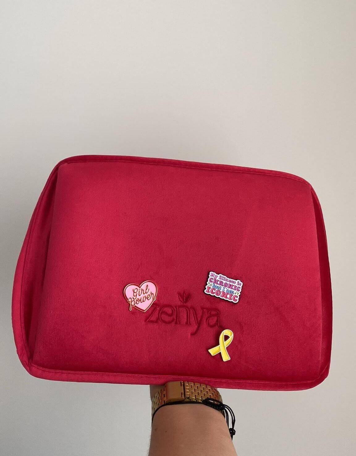 Pins Zenya
